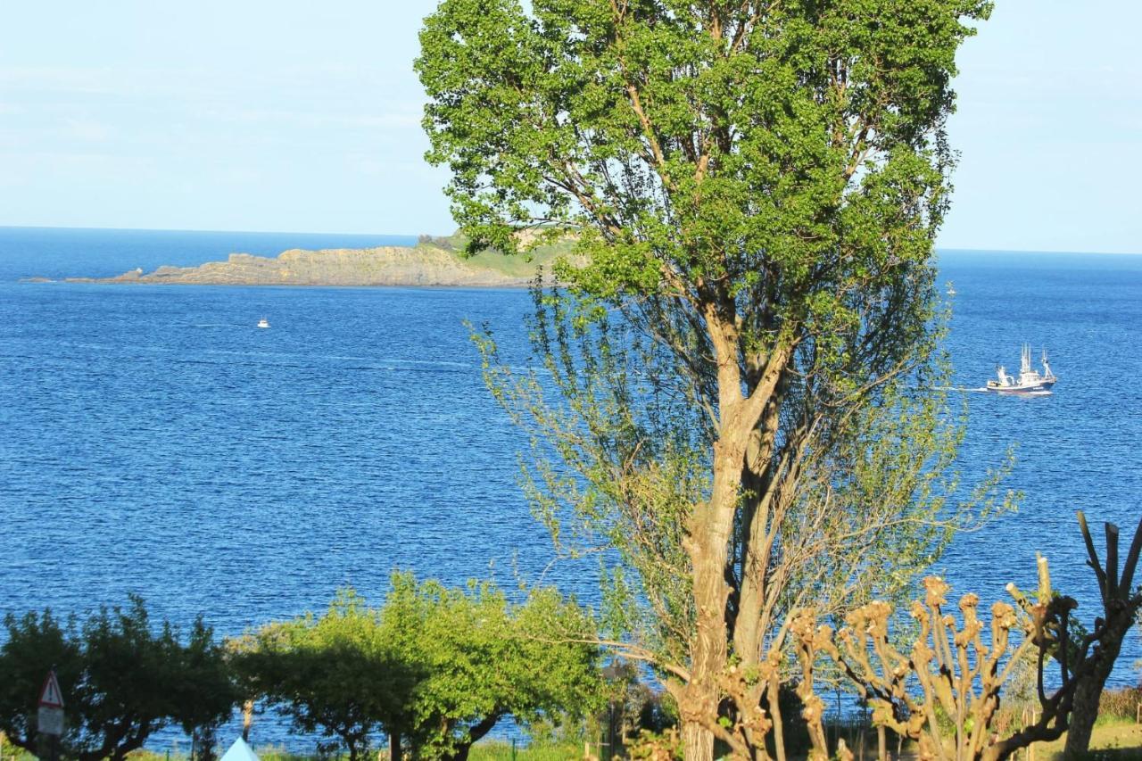 Aurrekoetxea 36 Vr, Talako Izarra Lägenhet Bermeo Exteriör bild